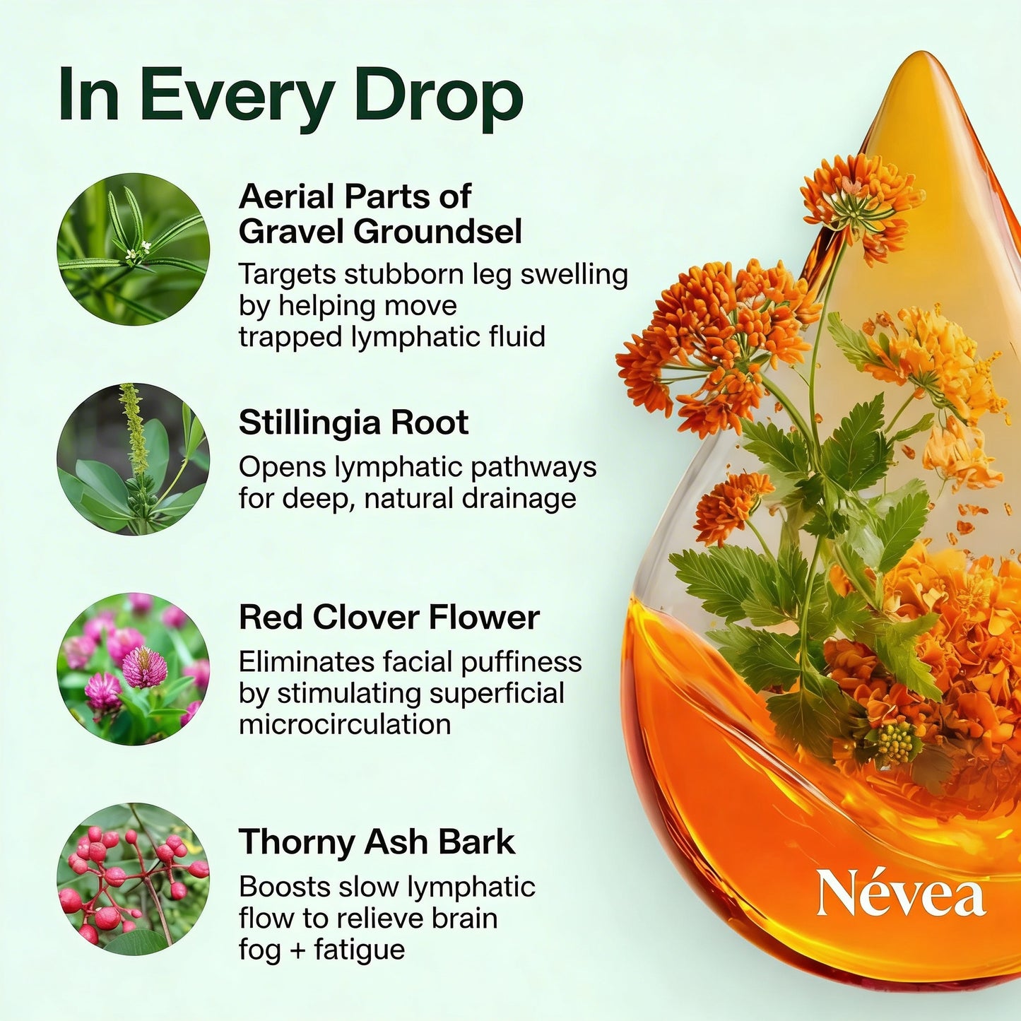 Regain Lightness and Reduce Swelling in 16 Days or Less